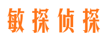 宣武侦探公司